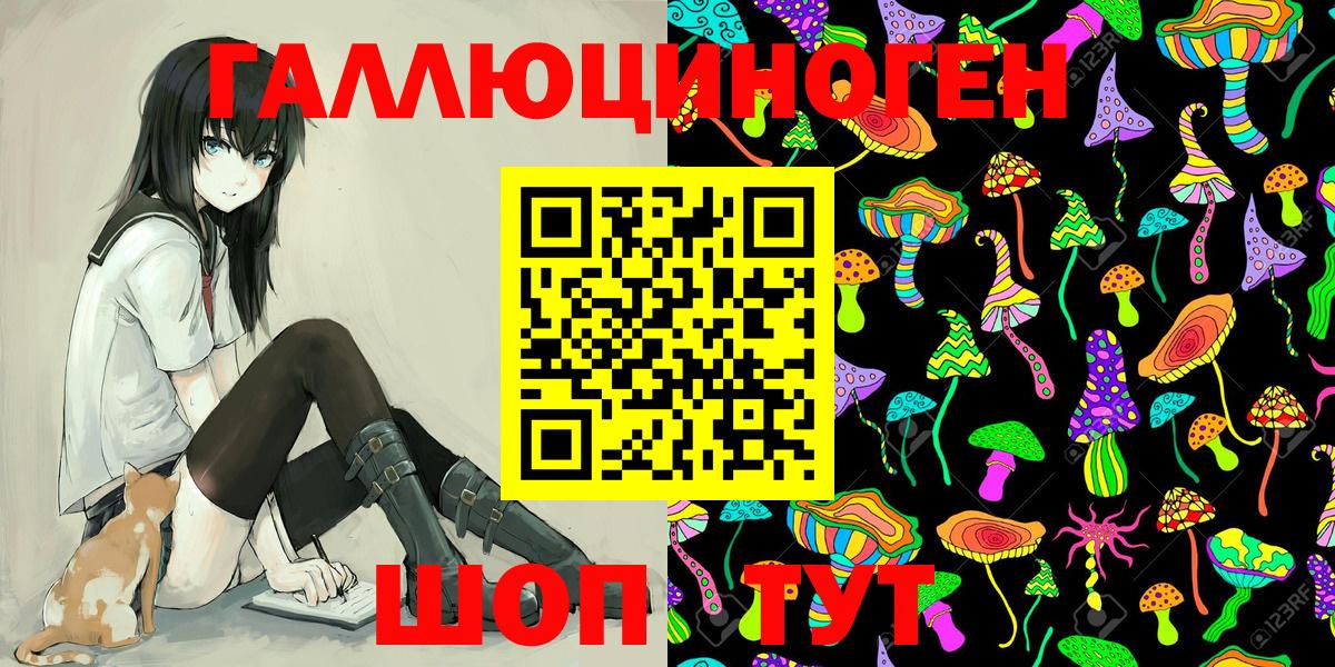 Псилоцибиновые грибы Cubensis Сыктывкар